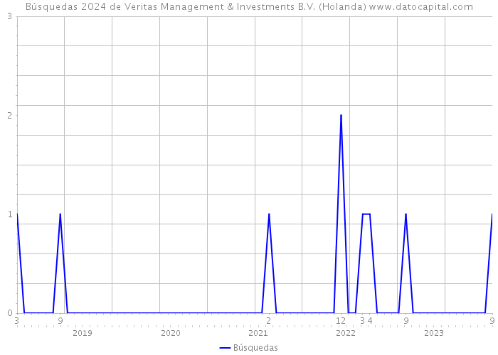 Búsquedas 2024 de Veritas Management & Investments B.V. (Holanda) 