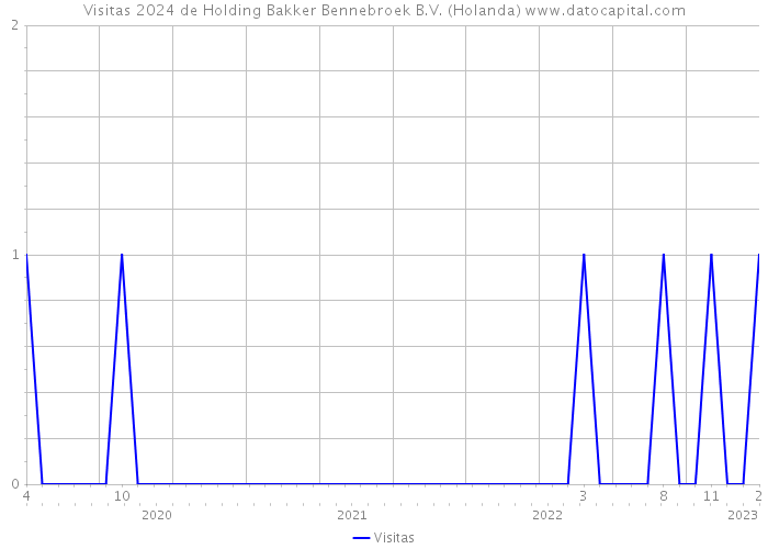 Visitas 2024 de Holding Bakker Bennebroek B.V. (Holanda) 