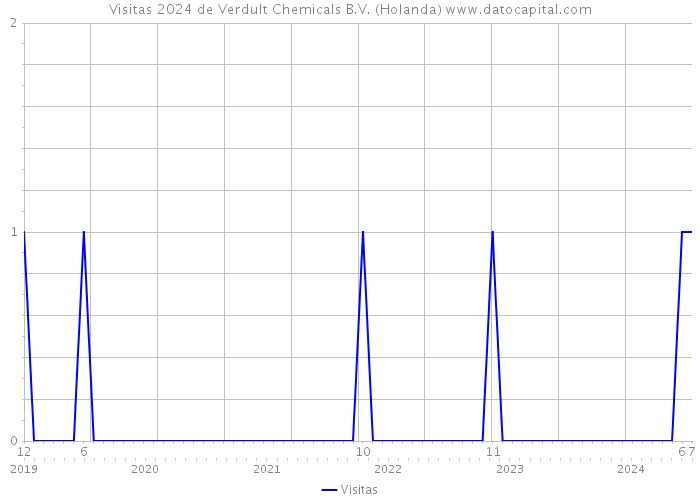 Visitas 2024 de Verdult Chemicals B.V. (Holanda) 