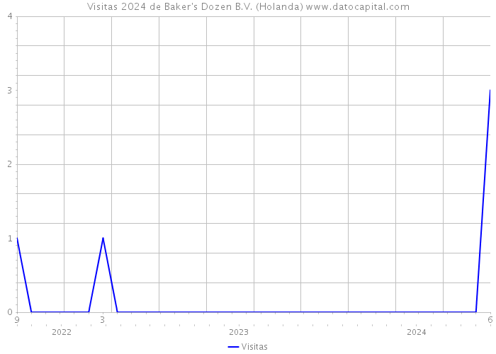 Visitas 2024 de Baker's Dozen B.V. (Holanda) 