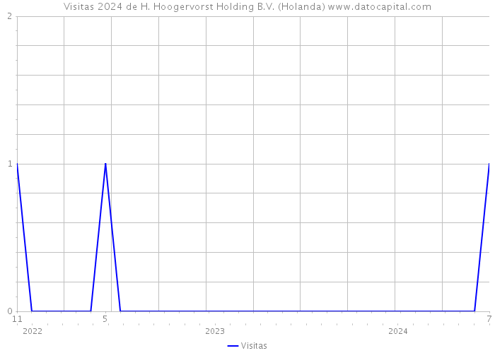 Visitas 2024 de H. Hoogervorst Holding B.V. (Holanda) 