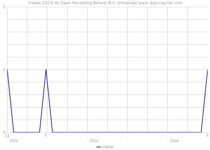 Visitas 2024 de Daan Hesseling Beheer B.V. (Holanda) 