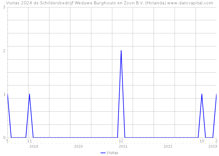 Visitas 2024 de Schildersbedrijf Weduwe Burghouts en Zoon B.V. (Holanda) 