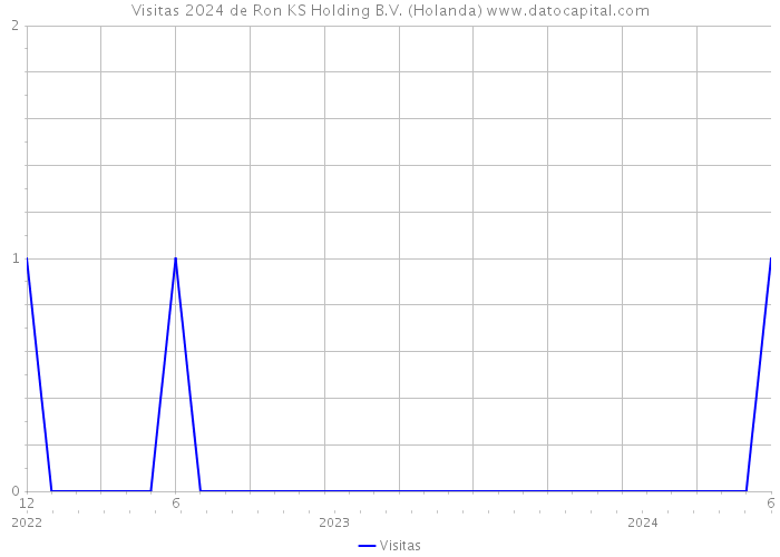 Visitas 2024 de Ron KS Holding B.V. (Holanda) 