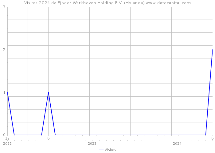 Visitas 2024 de Fjödor Werkhoven Holding B.V. (Holanda) 