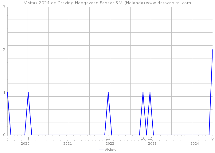 Visitas 2024 de Greving Hoogeveen Beheer B.V. (Holanda) 