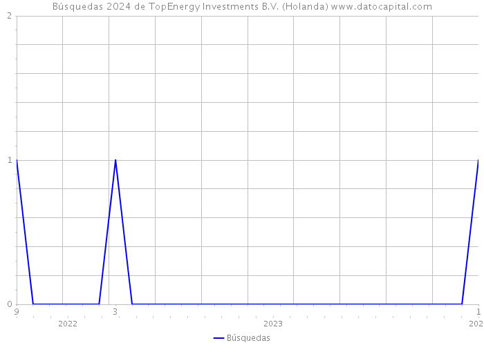 Búsquedas 2024 de TopEnergy Investments B.V. (Holanda) 