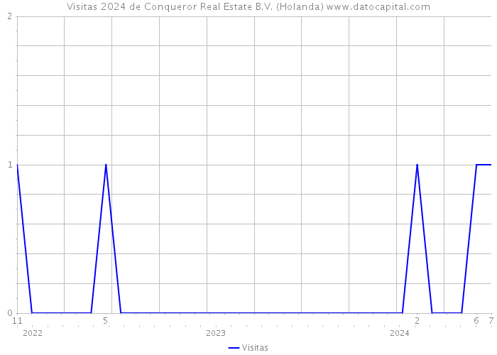 Visitas 2024 de Conqueror Real Estate B.V. (Holanda) 