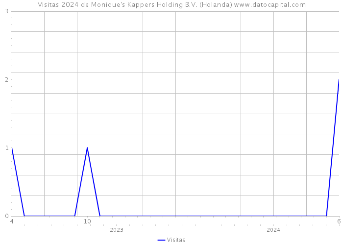 Visitas 2024 de Monique's Kappers Holding B.V. (Holanda) 