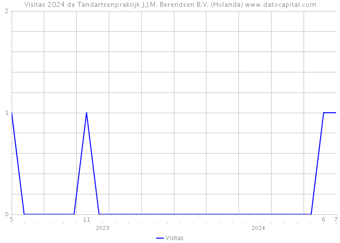 Visitas 2024 de Tandartsenpraktijk J.J.M. Berendsen B.V. (Holanda) 
