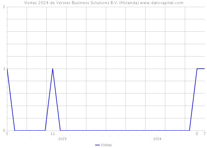 Visitas 2024 de Verster Business Solutions B.V. (Holanda) 