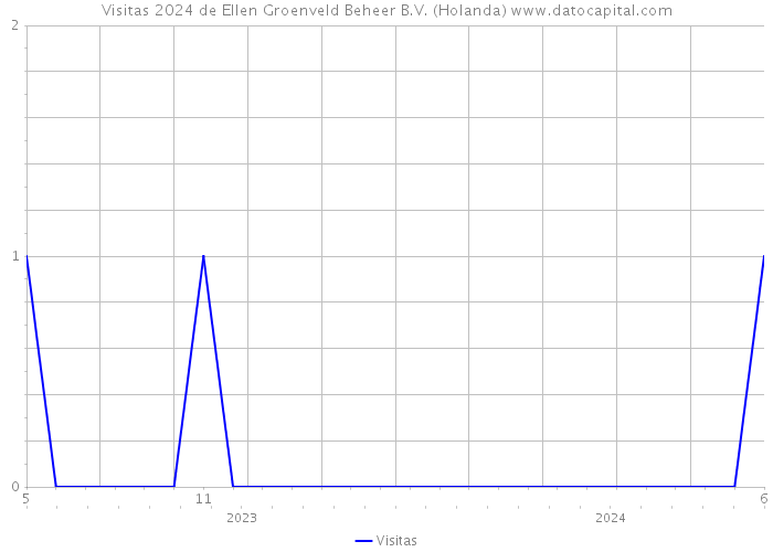 Visitas 2024 de Ellen Groenveld Beheer B.V. (Holanda) 