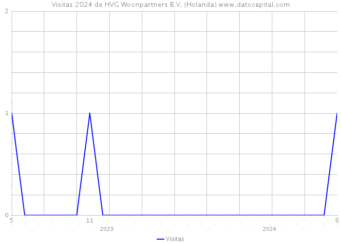 Visitas 2024 de HVG Woonpartners B.V. (Holanda) 
