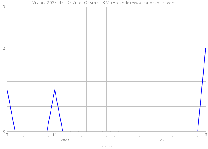 Visitas 2024 de 