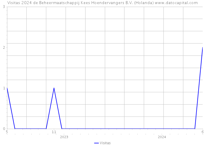 Visitas 2024 de Beheermaatschappij Kees Hoendervangers B.V. (Holanda) 