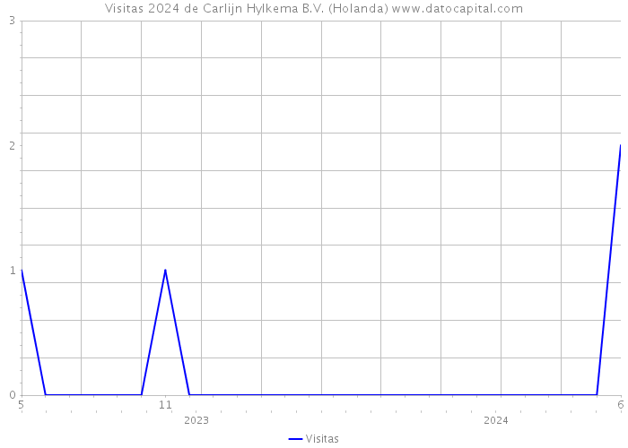 Visitas 2024 de Carlijn Hylkema B.V. (Holanda) 