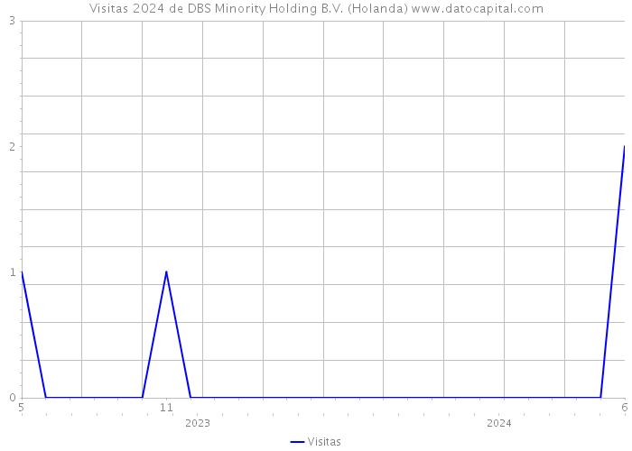 Visitas 2024 de DBS Minority Holding B.V. (Holanda) 