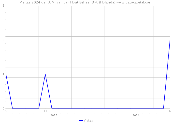 Visitas 2024 de J.A.M. van der Hout Beheer B.V. (Holanda) 