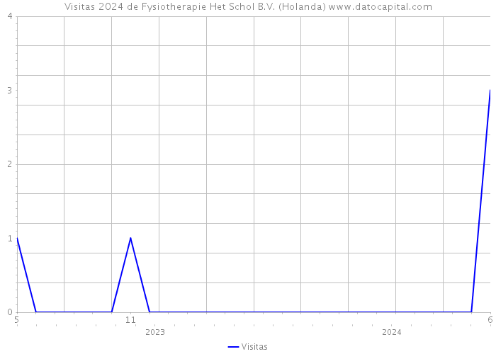 Visitas 2024 de Fysiotherapie Het Schol B.V. (Holanda) 