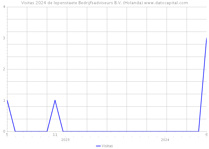 Visitas 2024 de Iepenstaete Bedrijfsadviseurs B.V. (Holanda) 