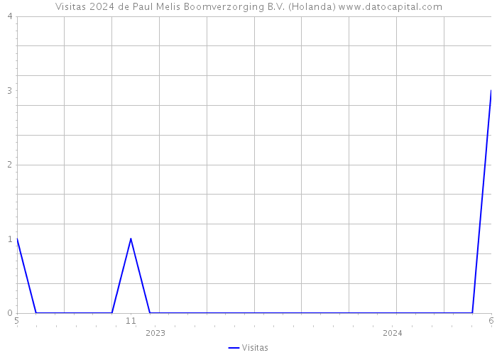 Visitas 2024 de Paul Melis Boomverzorging B.V. (Holanda) 