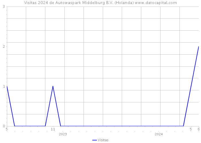 Visitas 2024 de Autowaspark Middelburg B.V. (Holanda) 