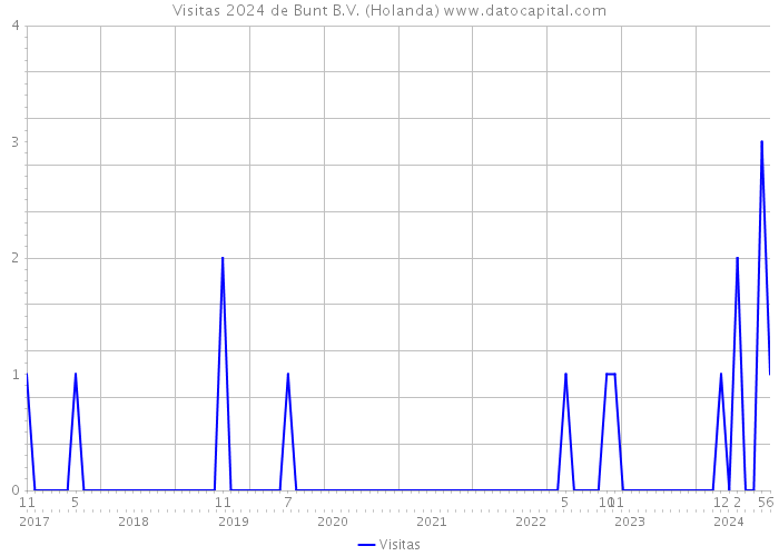 Visitas 2024 de Bunt B.V. (Holanda) 