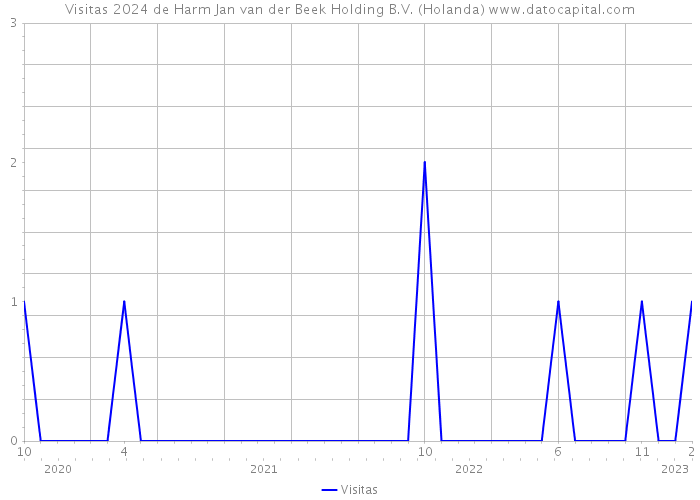 Visitas 2024 de Harm Jan van der Beek Holding B.V. (Holanda) 