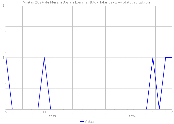 Visitas 2024 de Meram Bos en Lommer B.V. (Holanda) 