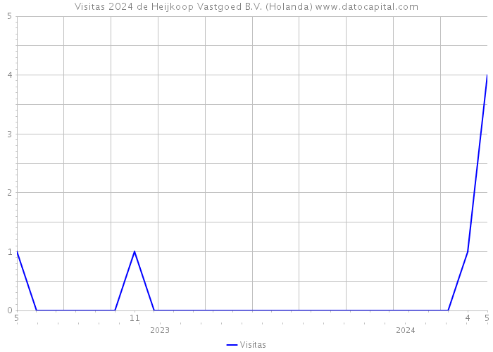 Visitas 2024 de Heijkoop Vastgoed B.V. (Holanda) 