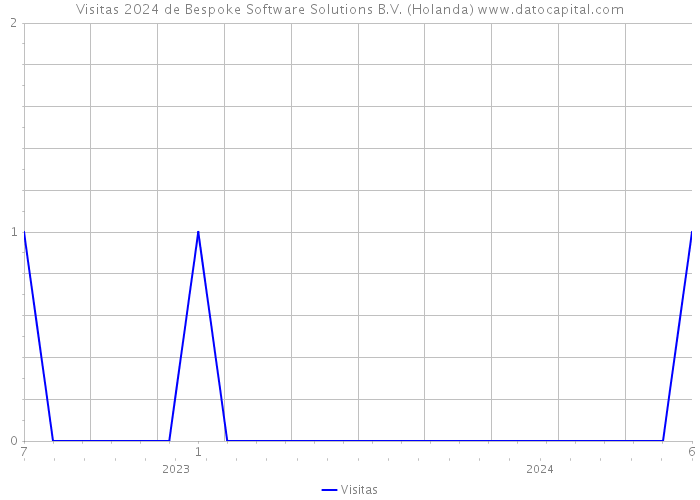 Visitas 2024 de Bespoke Software Solutions B.V. (Holanda) 