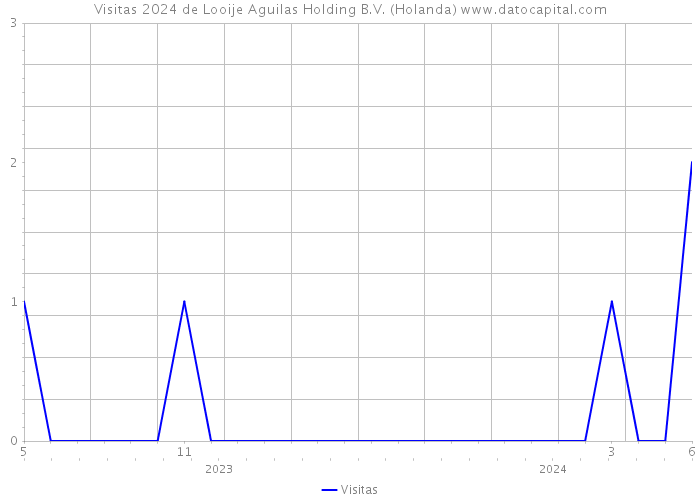 Visitas 2024 de Looije Aguilas Holding B.V. (Holanda) 