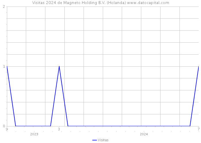 Visitas 2024 de Magneto Holding B.V. (Holanda) 