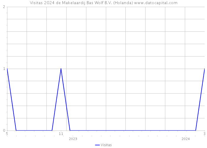 Visitas 2024 de Makelaardij Bas Wolf B.V. (Holanda) 