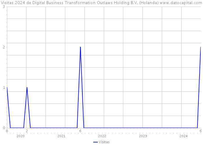 Visitas 2024 de Digital Business Transformation Outlaws Holding B.V. (Holanda) 