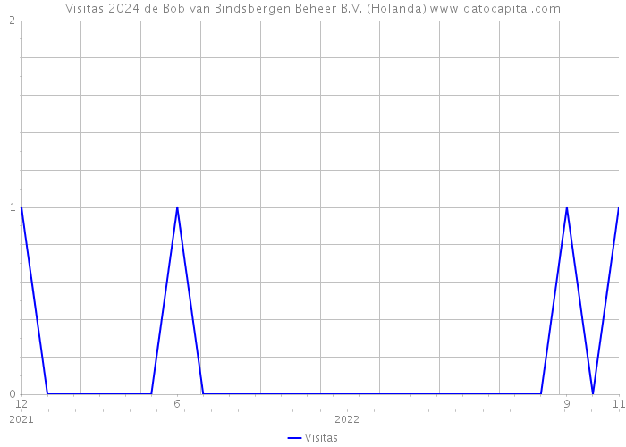 Visitas 2024 de Bob van Bindsbergen Beheer B.V. (Holanda) 