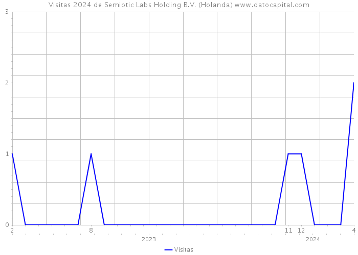 Visitas 2024 de Semiotic Labs Holding B.V. (Holanda) 