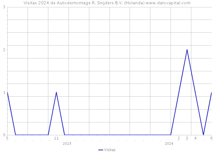 Visitas 2024 de Autodemontage R. Snijders B.V. (Holanda) 