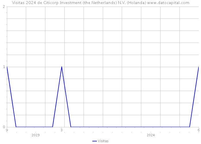 Visitas 2024 de Citicorp Investment (the Netherlands) N.V. (Holanda) 