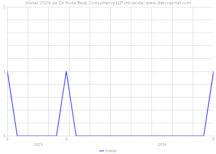 Visitas 2024 de De Rode Beuk Consultancy LLP (Holanda) 