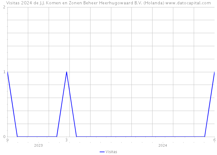 Visitas 2024 de J.J. Komen en Zonen Beheer Heerhugowaard B.V. (Holanda) 