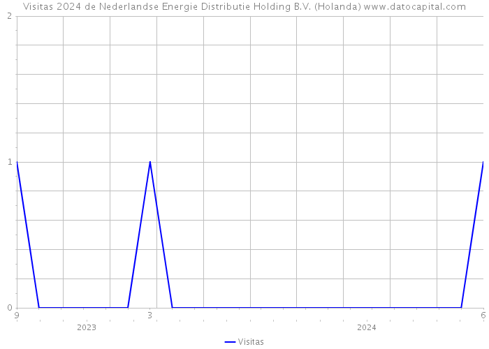 Visitas 2024 de Nederlandse Energie Distributie Holding B.V. (Holanda) 
