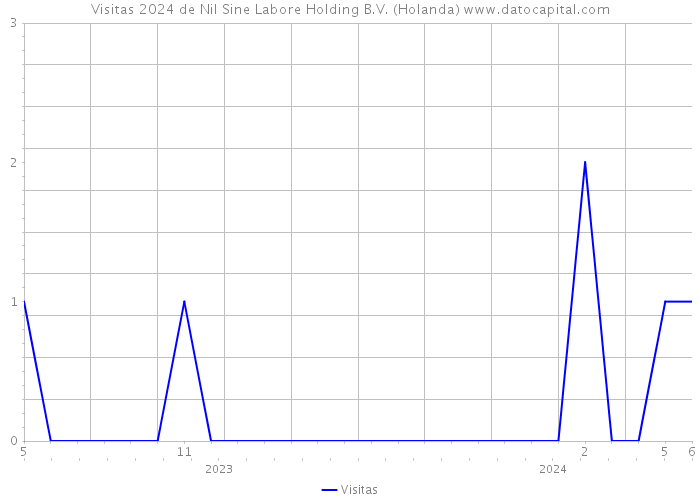 Visitas 2024 de Nil Sine Labore Holding B.V. (Holanda) 