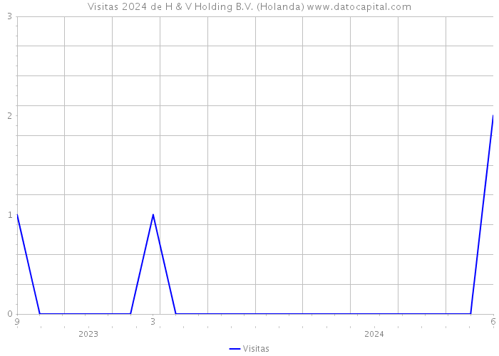 Visitas 2024 de H & V Holding B.V. (Holanda) 