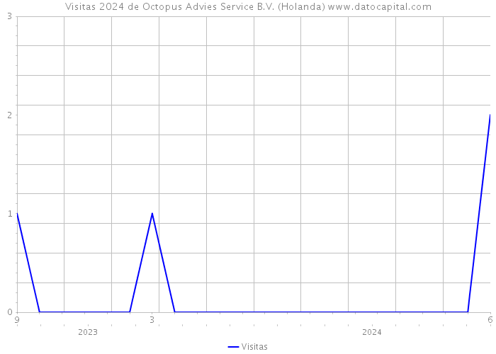 Visitas 2024 de Octopus Advies Service B.V. (Holanda) 