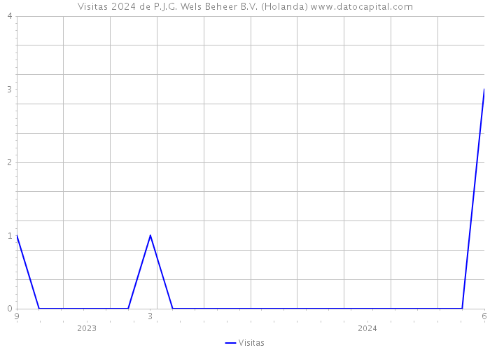 Visitas 2024 de P.J.G. Wels Beheer B.V. (Holanda) 