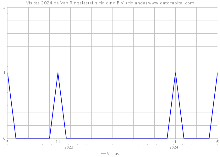 Visitas 2024 de Van Ringelesteijn Holding B.V. (Holanda) 