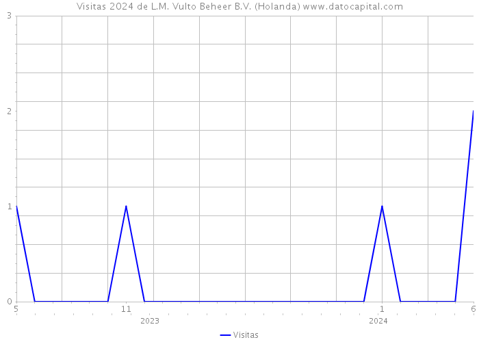 Visitas 2024 de L.M. Vulto Beheer B.V. (Holanda) 