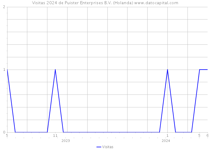 Visitas 2024 de Puister Enterprises B.V. (Holanda) 