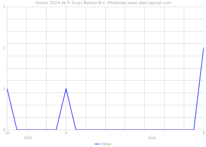 Visitas 2024 de P. Kruis Beheer B.V. (Holanda) 